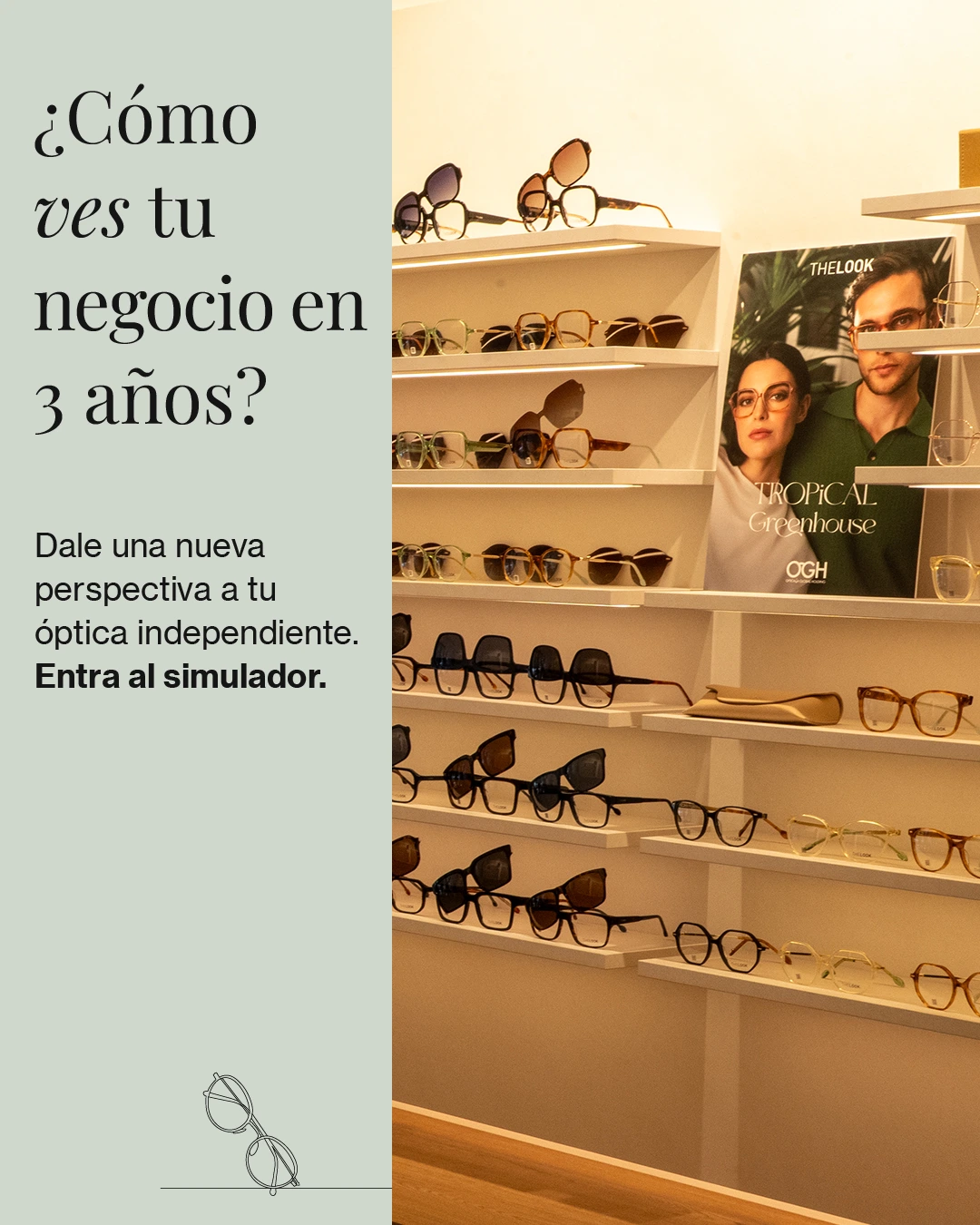 Banner Opticalia
